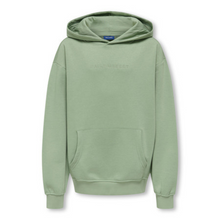 Cargar imagen en el visor de la galería, Hoodie Bill
