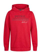 Lade das Bild in den Galerie-Viewer, Hoodie SWH302
