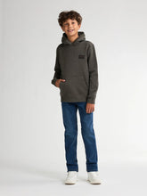 Cargar imagen en el visor de la galería, Hoodie SWH330
