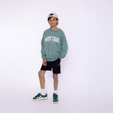 Cargar imagen en el visor de la galería, Shorts P54155
