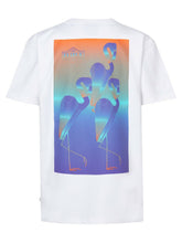 Cargar imagen en el visor de la galería, T-shirt Petrol TSR648
