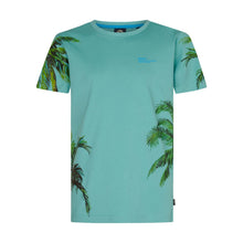 Cargar imagen en el visor de la galería, T-shirt Petrol TSR130
