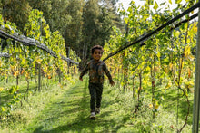 Cargar imagen en el visor de la galería, Broek Q52812
