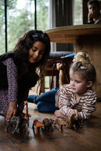 Cargar imagen en el visor de la galería, Longsleeve 2-pack Q52954
