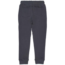 Lade das Bild in den Galerie-Viewer, Pants Figo
