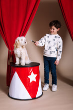 Charger l'image dans la galerie, Sweater Hagar

