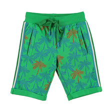 Lade das Bild in den Galerie-Viewer, Shorts Ticho
